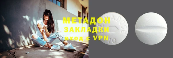 дмт Болотное