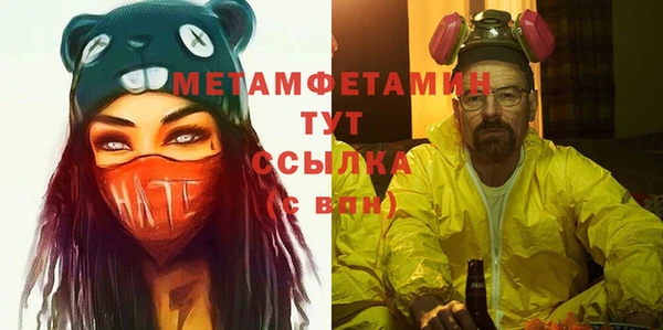 дмт Болотное