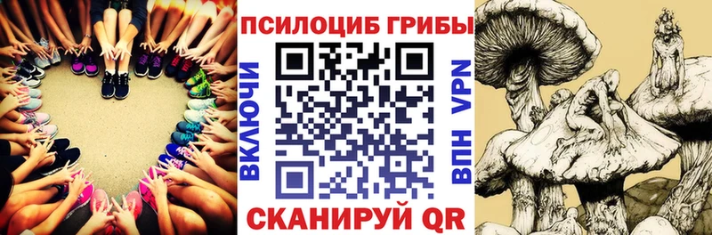 закладка  Партизанск  Галлюциногенные грибы мицелий 