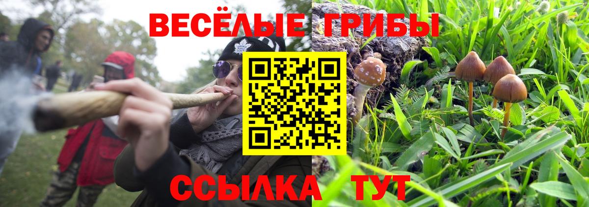 Партизанск  Псилоцибиновые грибы прущие грибы  Псилоцибиновые грибы прущие грибы  закладка  Вход с VPN 